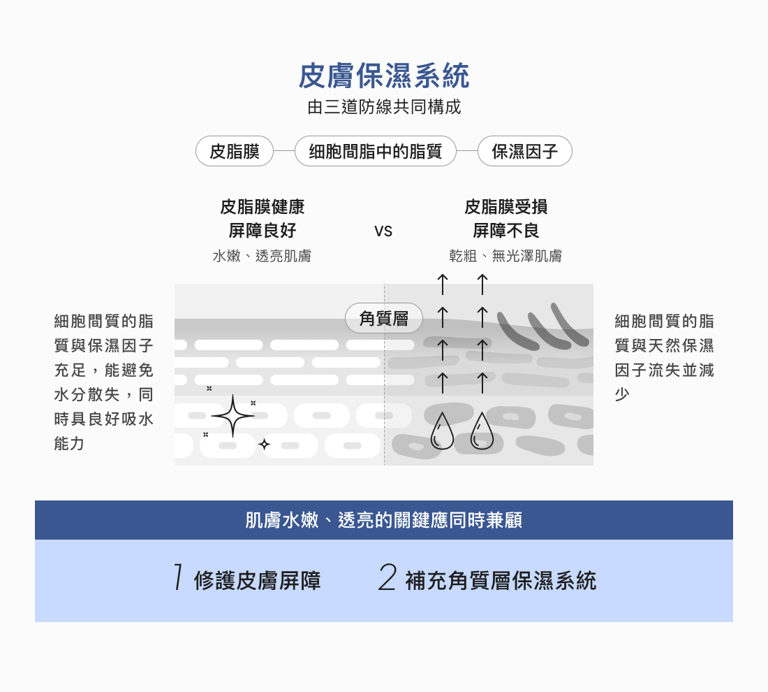 肌膚保濕系統 - 乾性肌膚保養